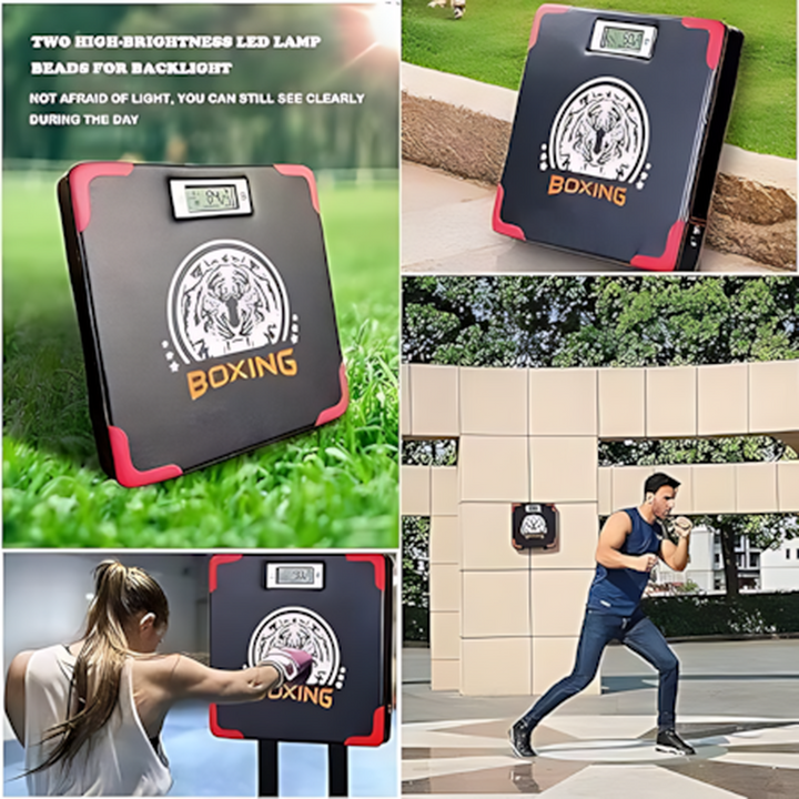 Target Digital Box resistance testing device