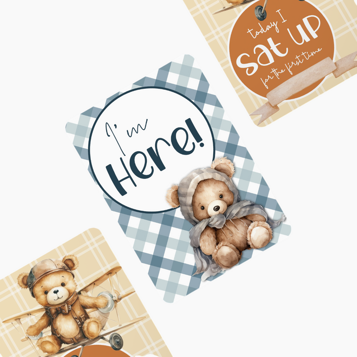 Twinkle &amp; Giraffe Milestone Cards Set of 30