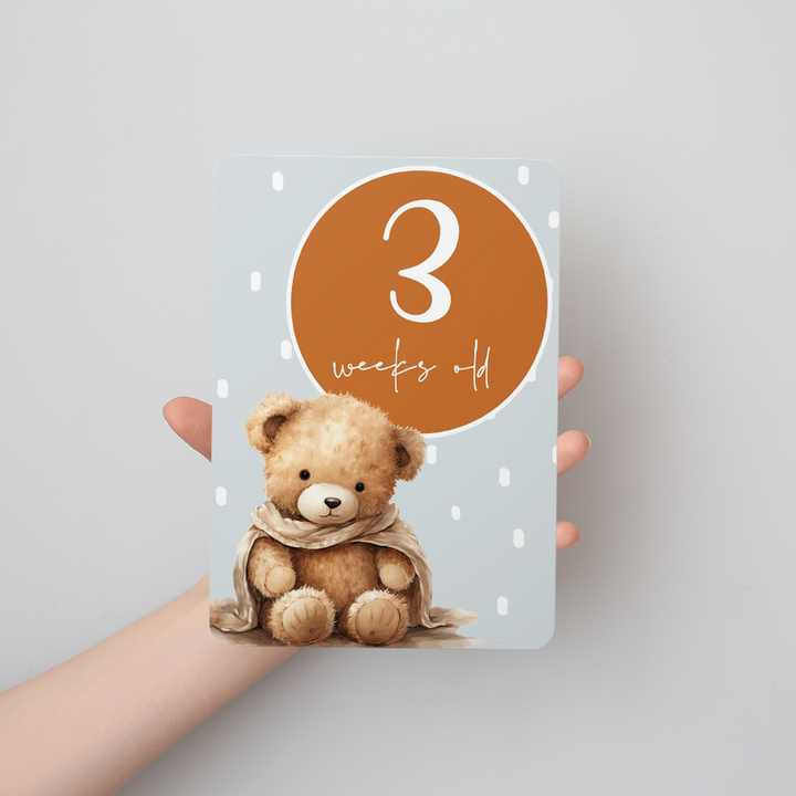 Twinkle &amp; Giraffe Milestone Cards Set of 30