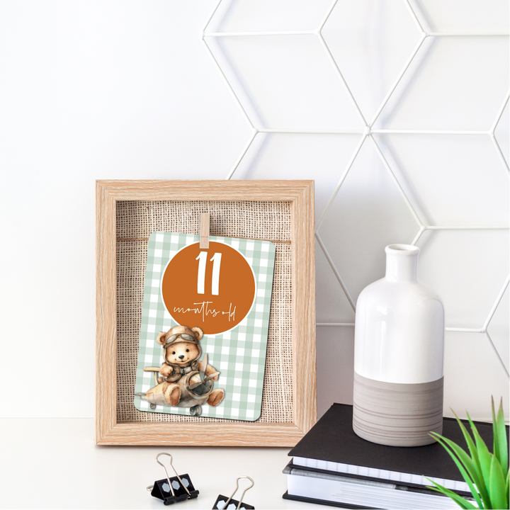 Twinkle &amp; Giraffe Milestone Cards Set of 30