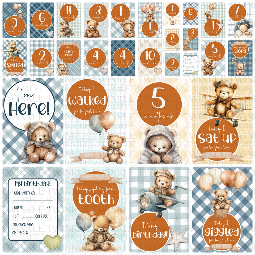 Twinkle &amp; Giraffe Milestone Cards Set of 30