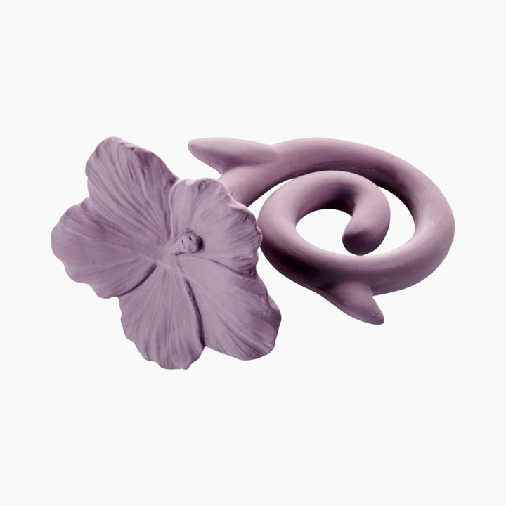 Natruba Teether