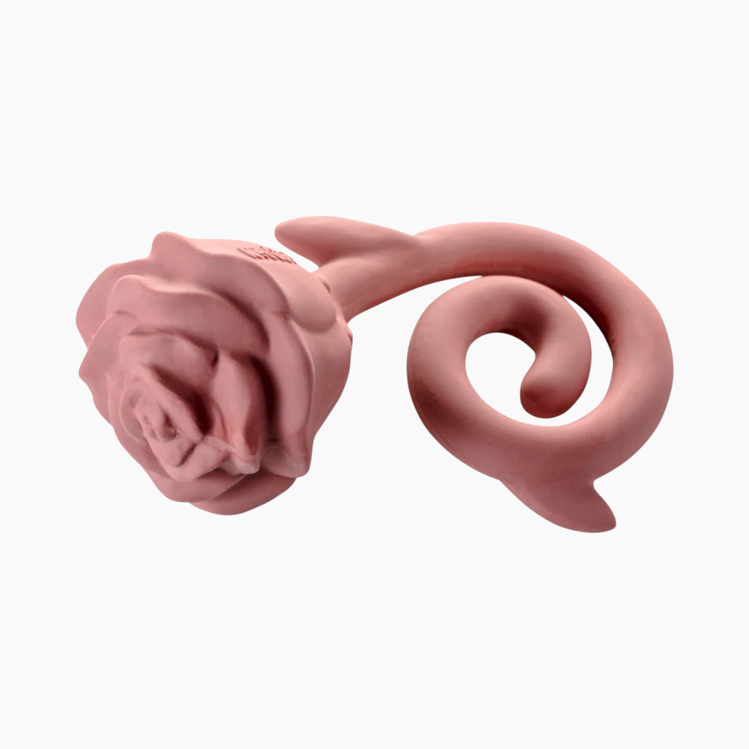 Natruba Teether