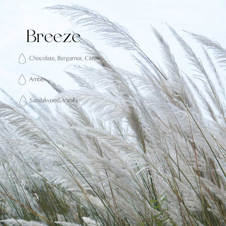 The Candle Dust Reed Diffusers Breeze - 500 mL
