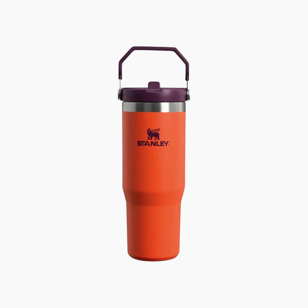 The Iceflow™ Flip Straw Tumbler 30 oz