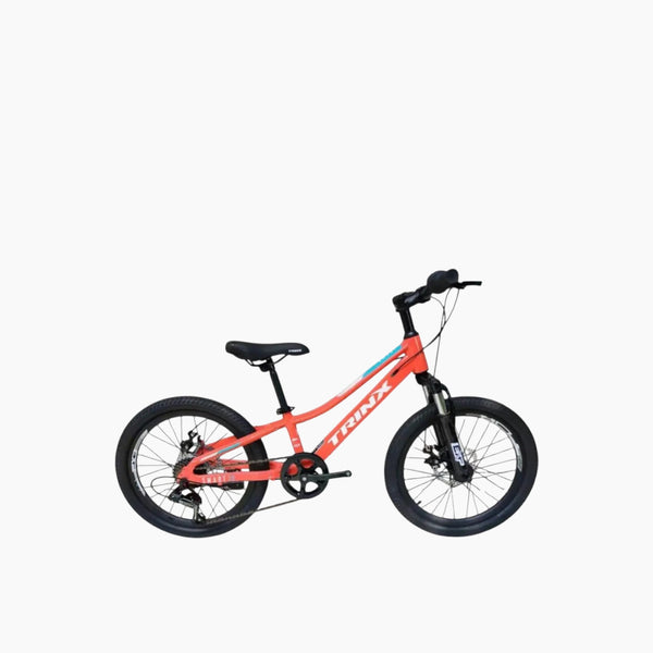 Trinx Smart 20 Inch Kids Bicycle