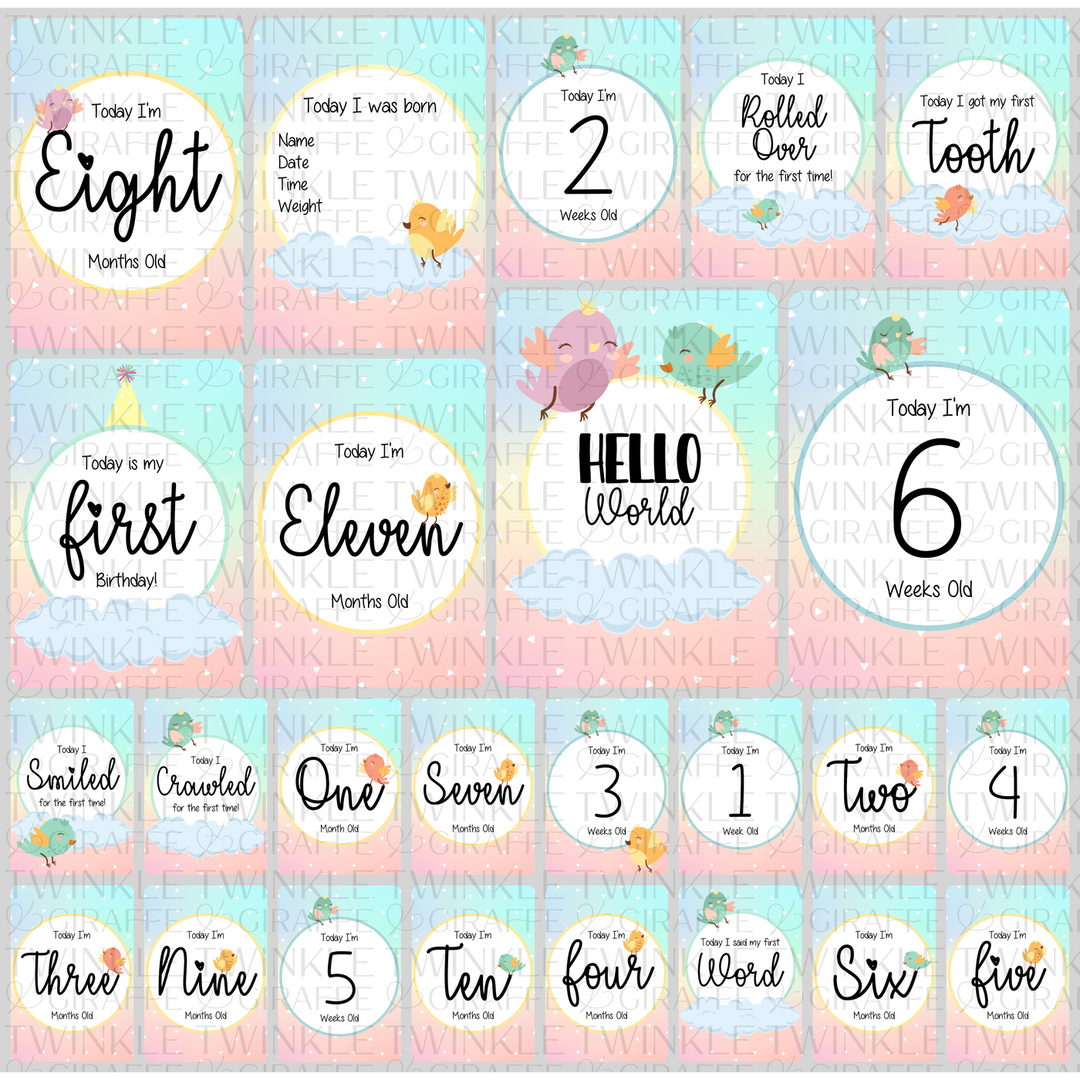 Twinkle &amp; Giraffe Milestone Cards Set of 25