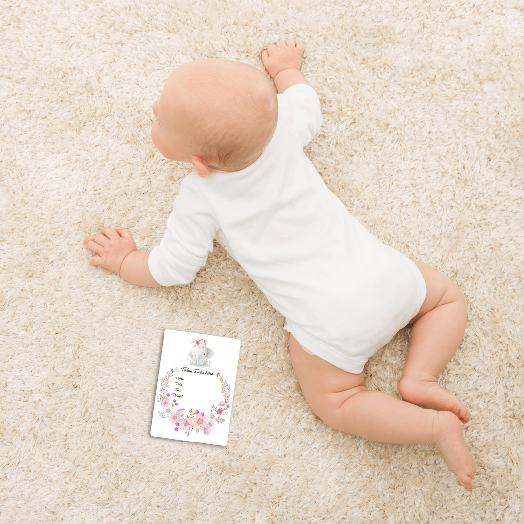 Twinkle &amp; Giraffe Milestone Cards Set of 25