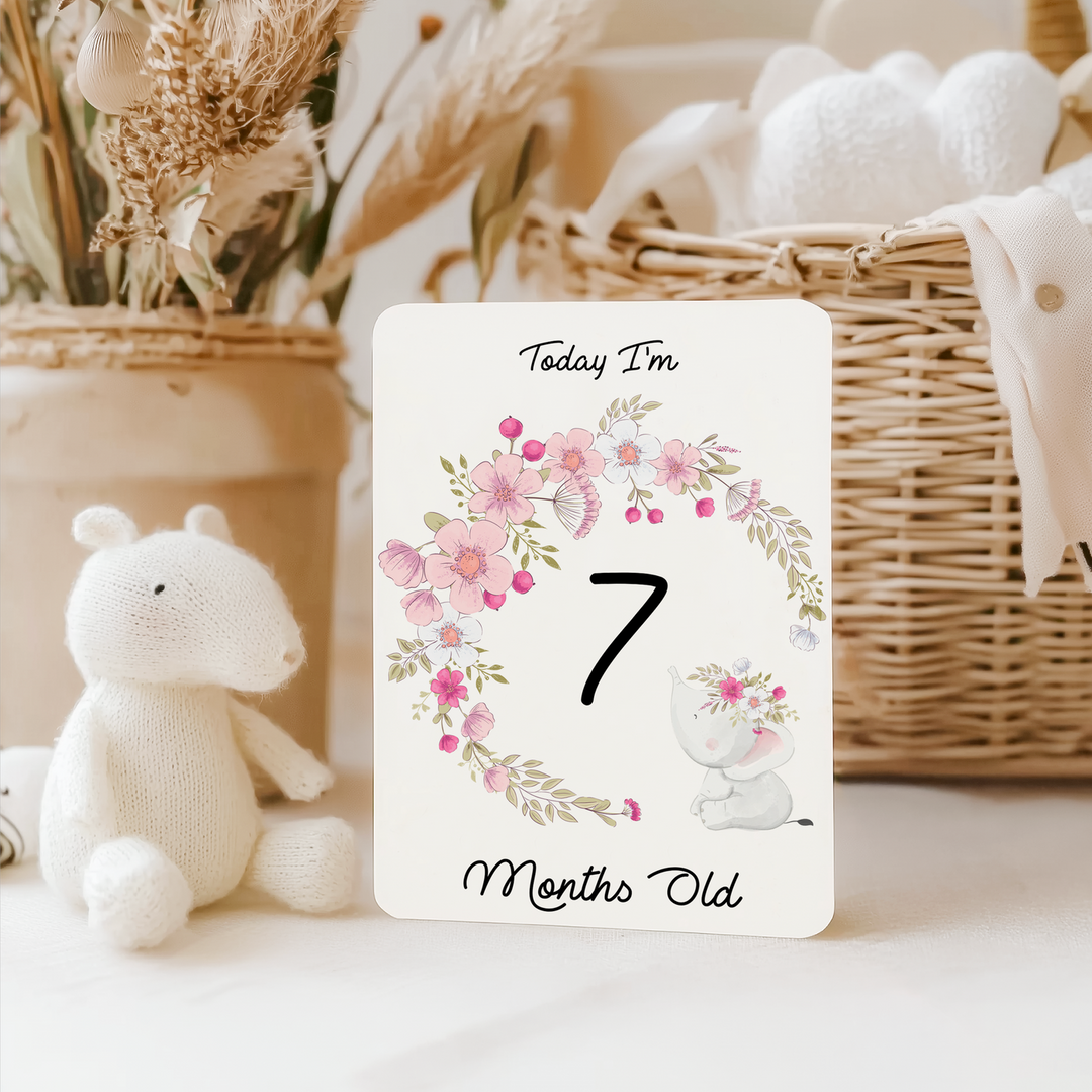 Twinkle &amp; Giraffe Milestone Cards Set of 25