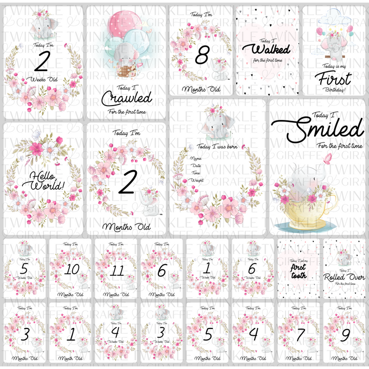 Twinkle &amp; Giraffe Milestone Cards Set of 25
