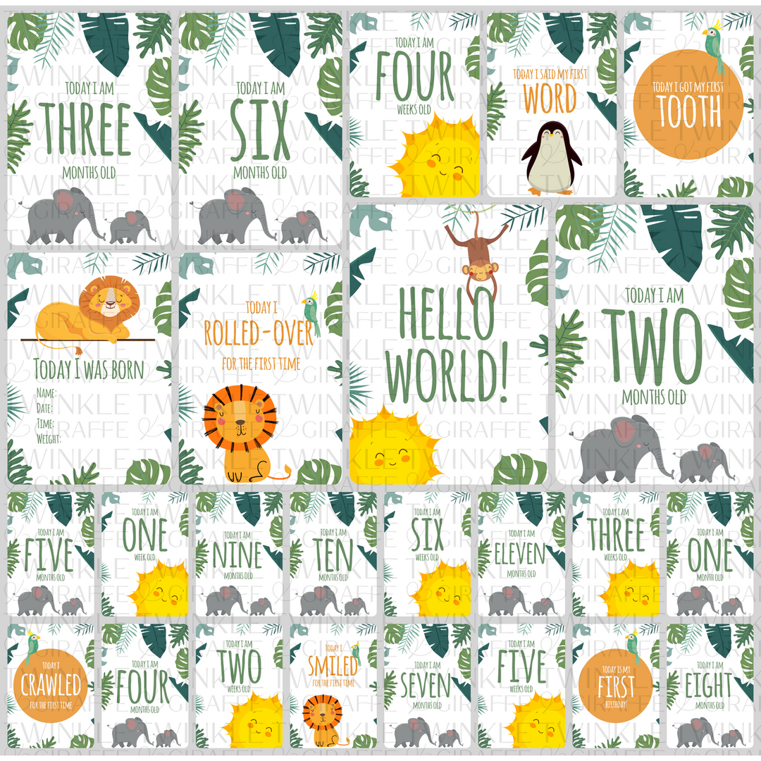 Twinkle &amp; Giraffe Milestone Cards Set of 25