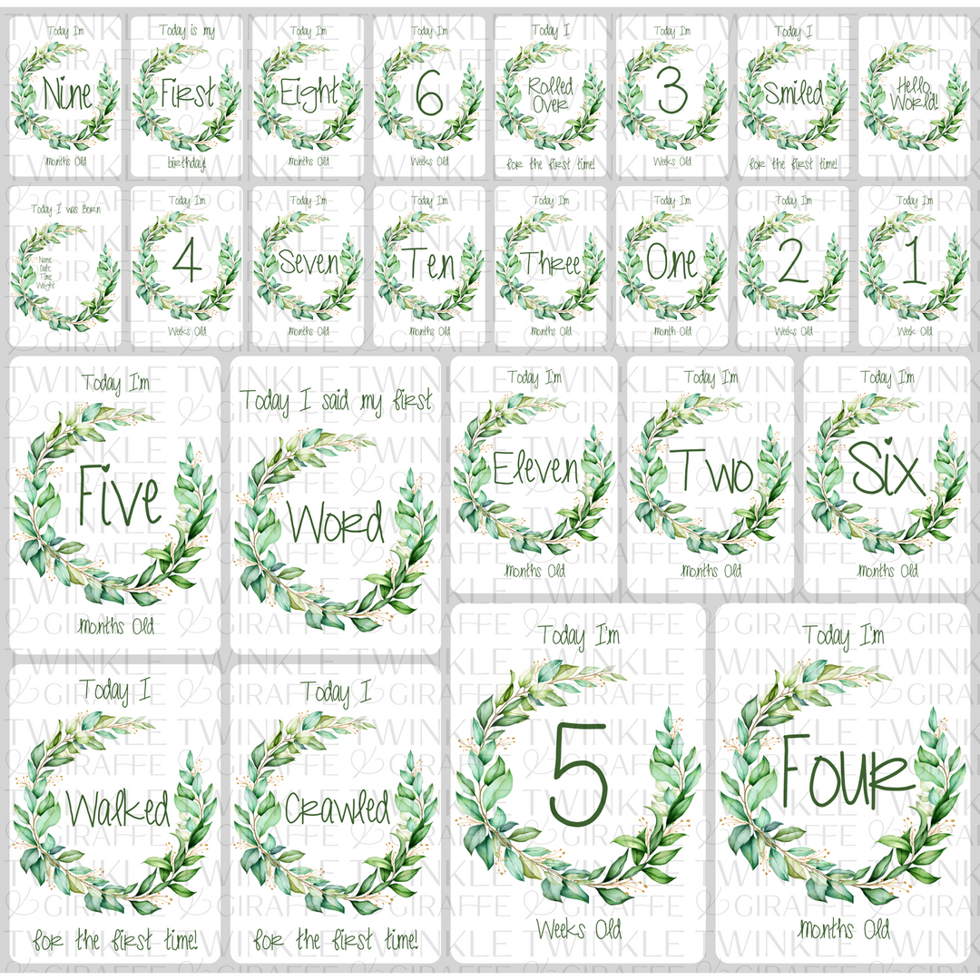 Twinkle &amp; Giraffe Milestone Cards Set of 25