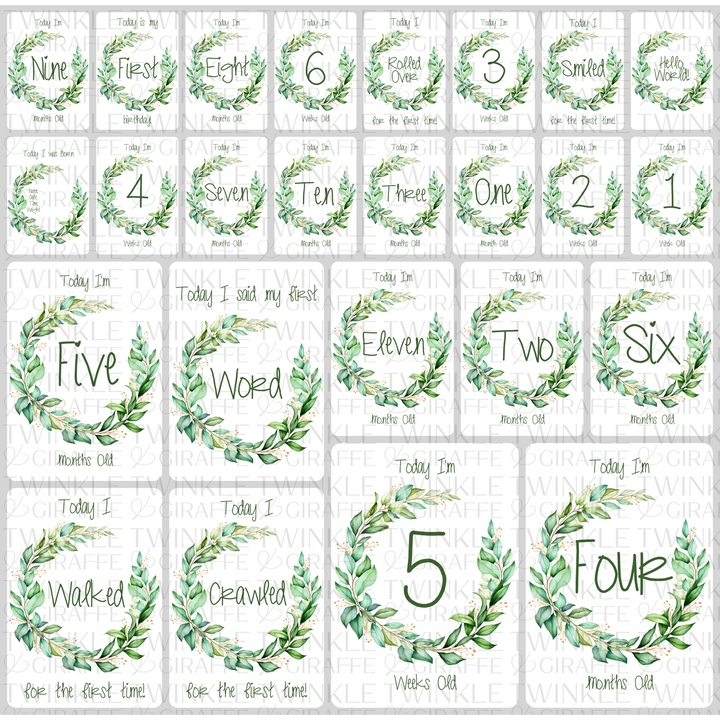 Twinkle &amp; Giraffe Milestone Cards Set of 25