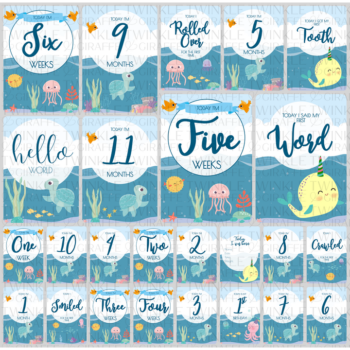 Twinkle &amp; Giraffe Milestone Cards Set of 25