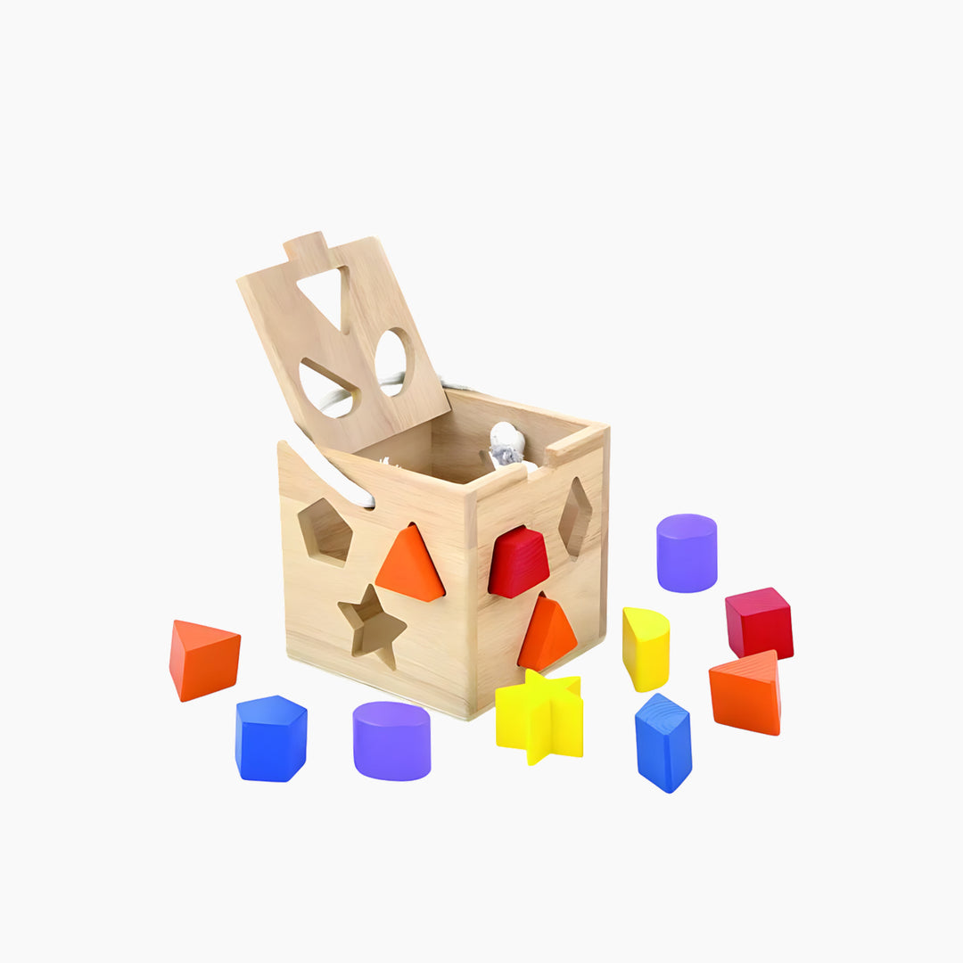 Viga Shape Sorting Box educational toy