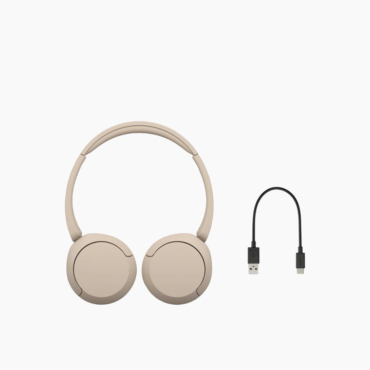 Sony WC-CH520.