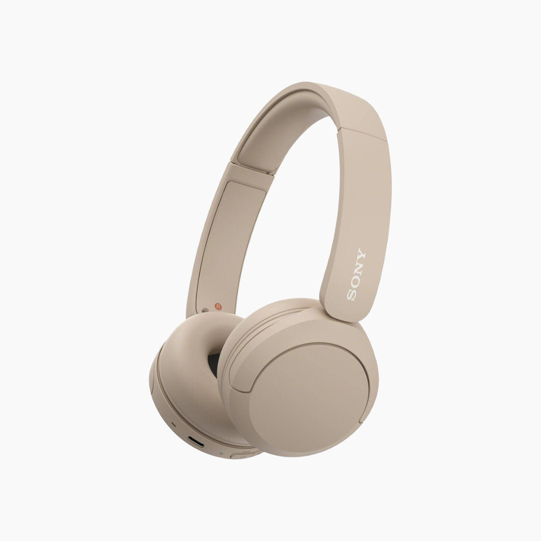 Sony WC-CH520.