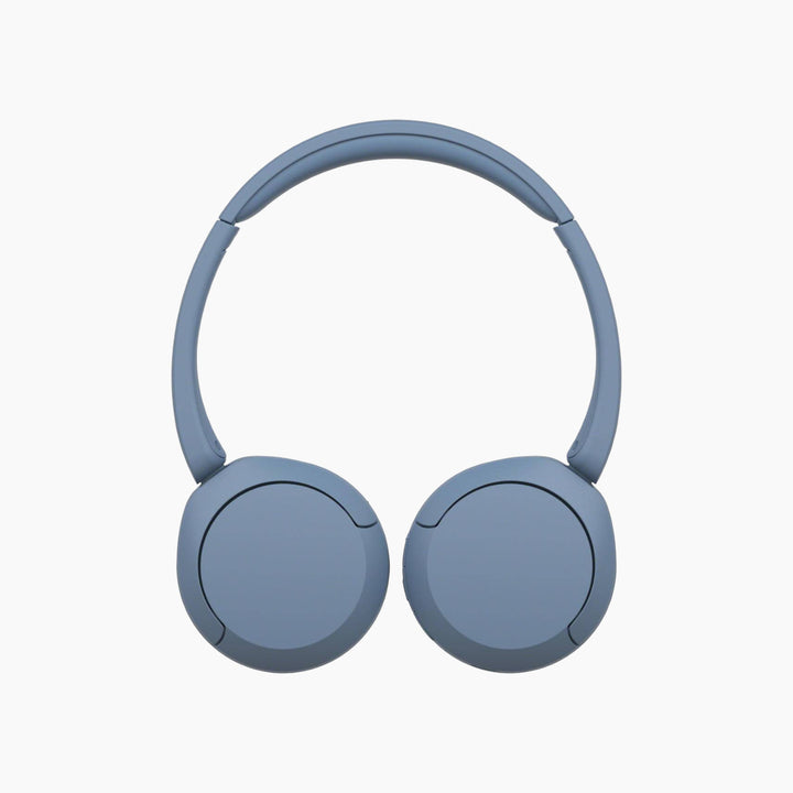 Sony WC-CH520.