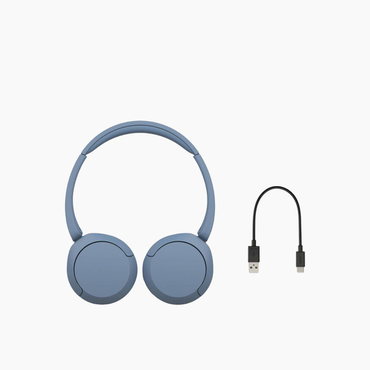 Sony WC-CH520.