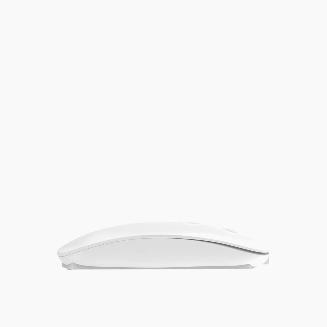 Wiwu WM101 Pro dual-mode ABS mouse