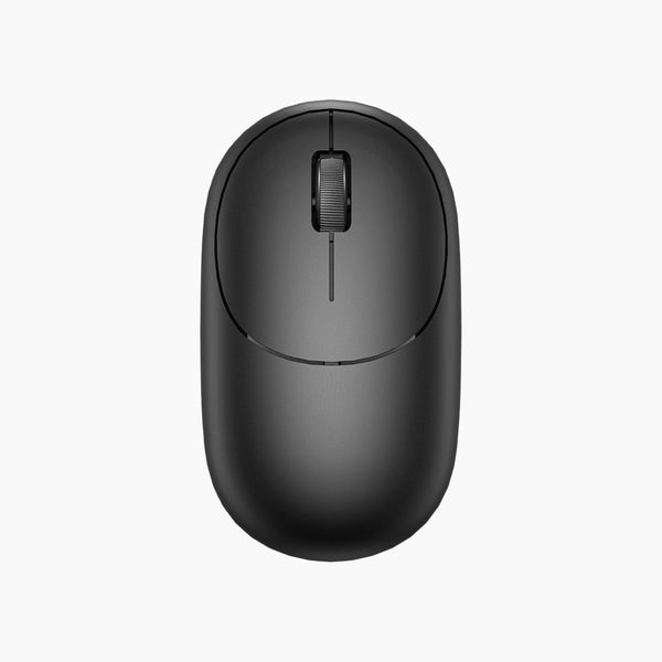 Wireless Mouse WM107