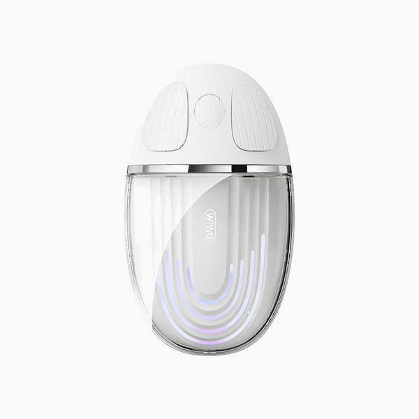 Wireless Mouse WM109