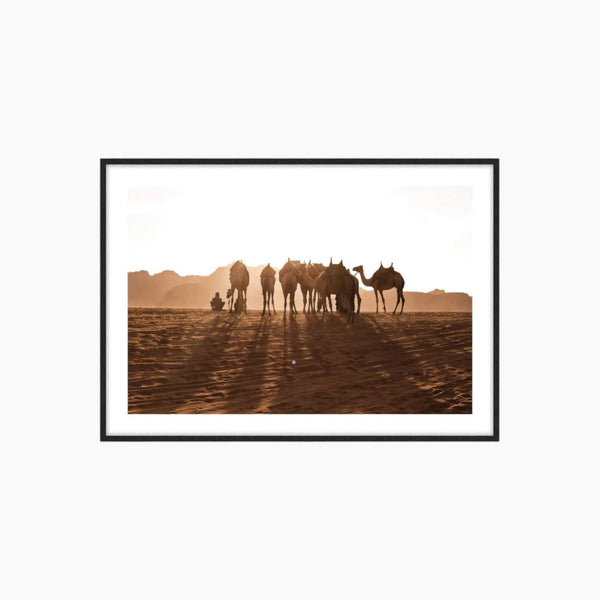 وادي رم: لوحة بدوية لطارق الزغل