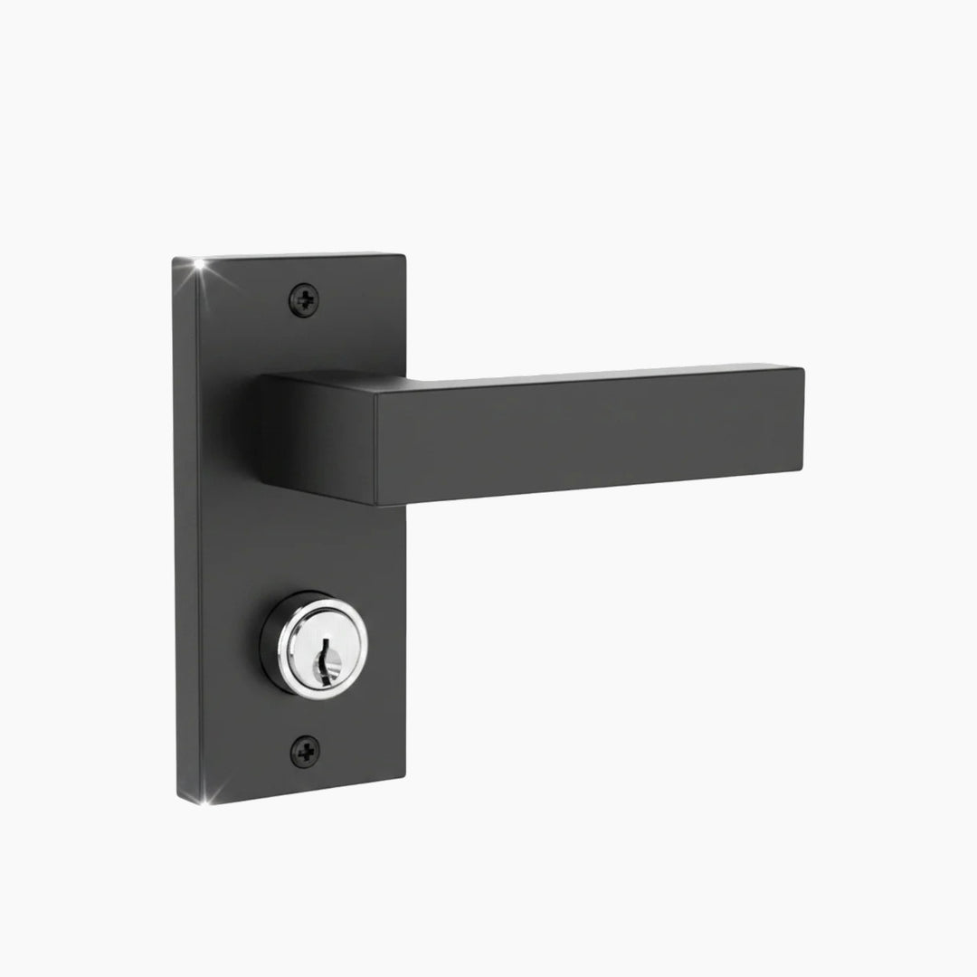 Cisa Emergency External Handle with Trim Plate &amp; Cylinder - Key-Deactivated
