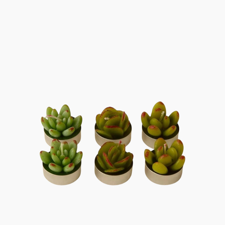 Karaca Home Succulent Tealight Candle Set - 6 Pieces