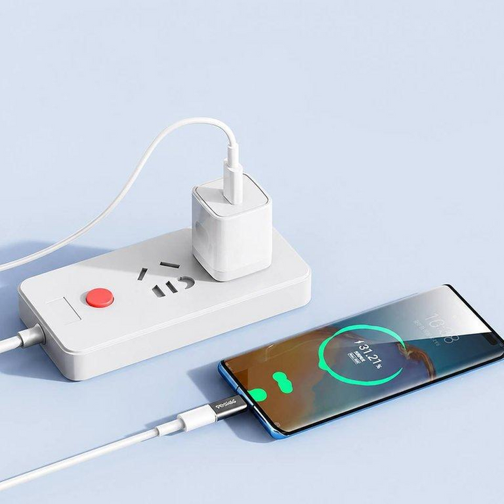 Yesido Lightning to USB-C Adapter