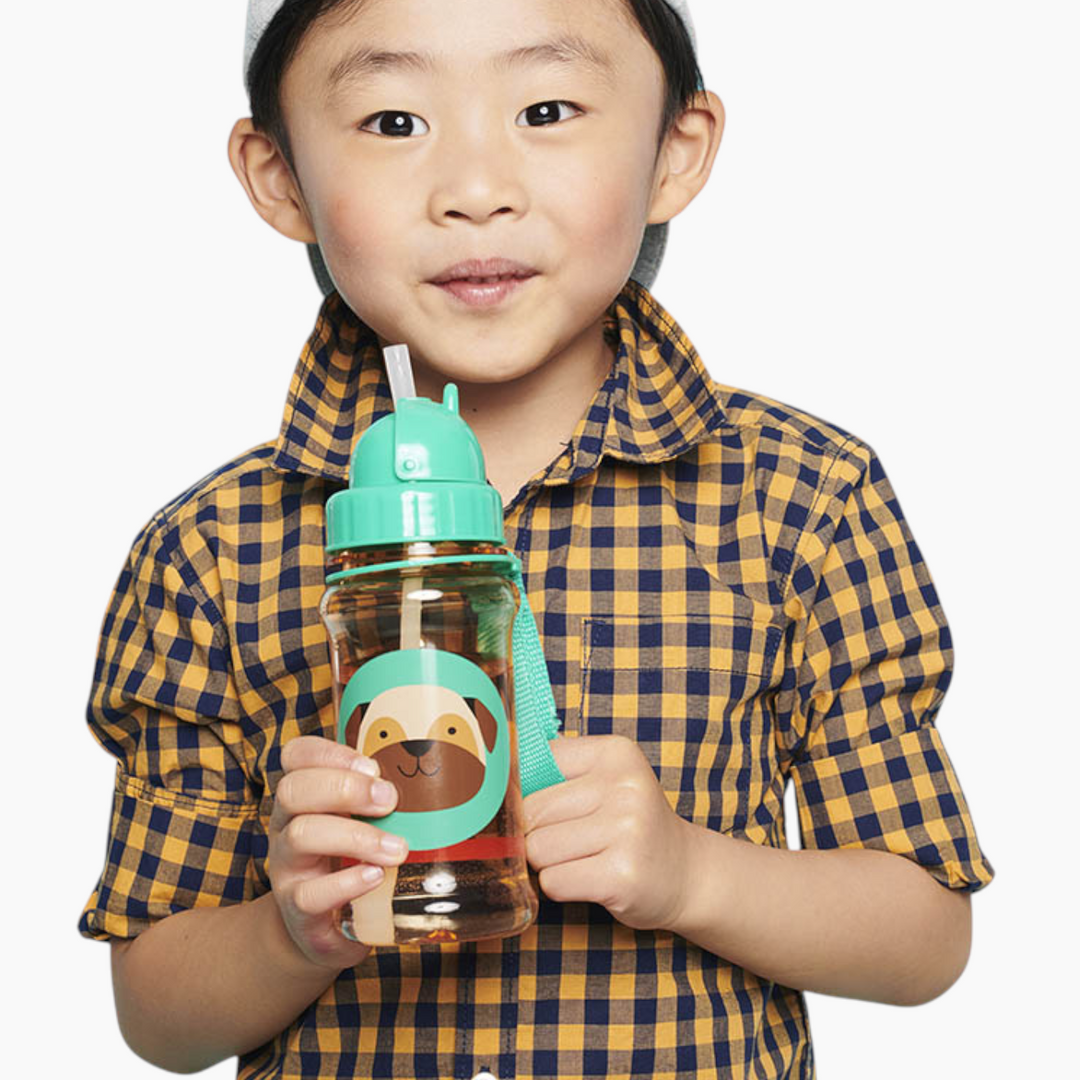 Skip Hop Zoo Straw Bottle