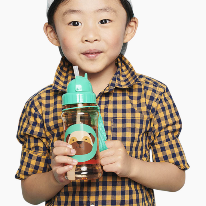 Skip Hop Zoo Straw Bottle