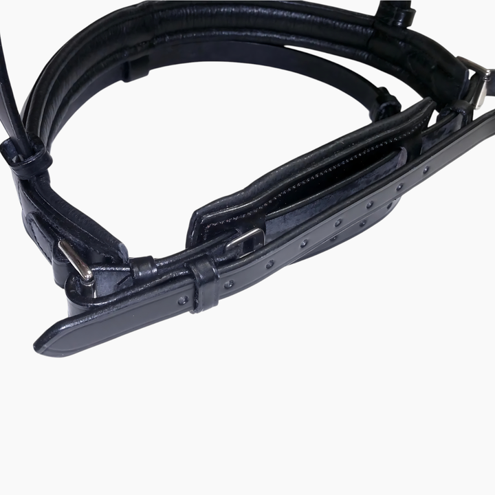 English-Style Bridle