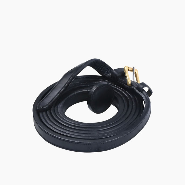Horse Show Lead