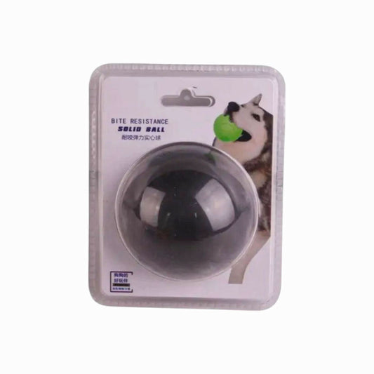 Dog Ball Toy