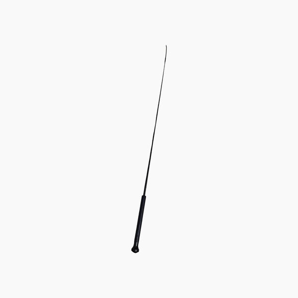 Equestrian Dressage Whip