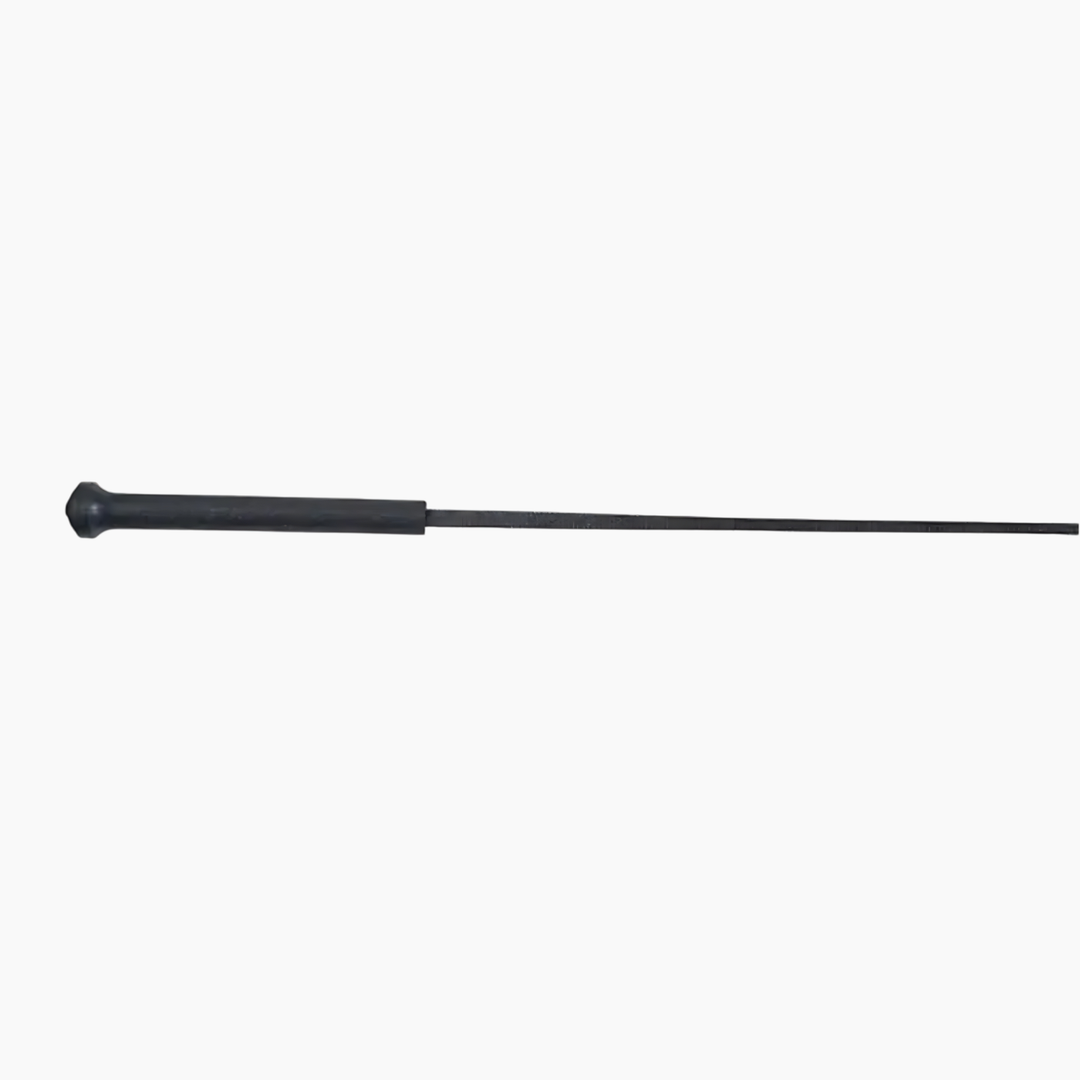Equestrian Dressage Whip