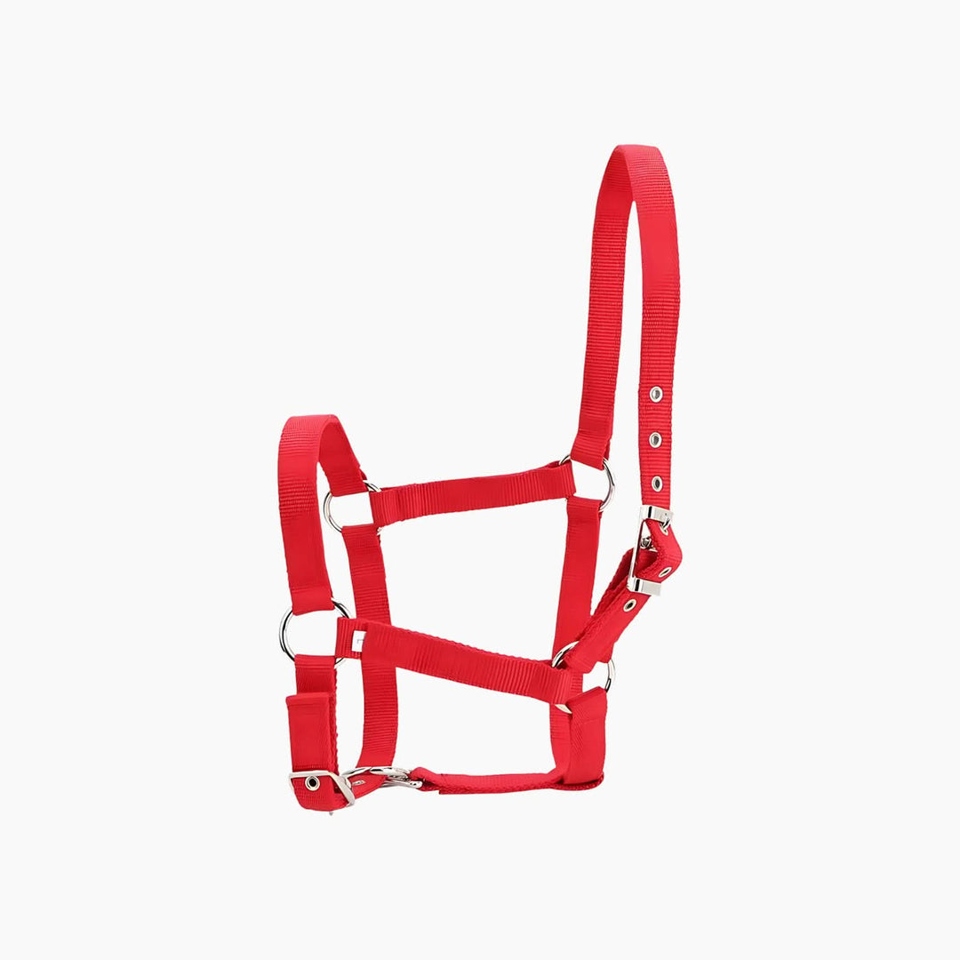 Euro Horse Draft Horse Saddle Pad - HUNA