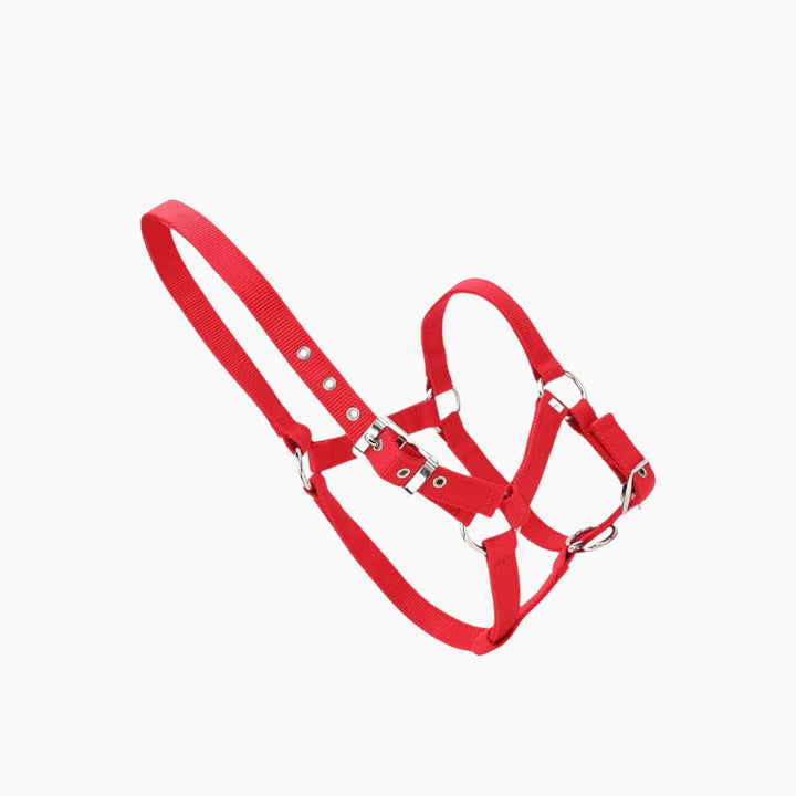 Euro Horse Draft Horse Saddle Pad - HUNA