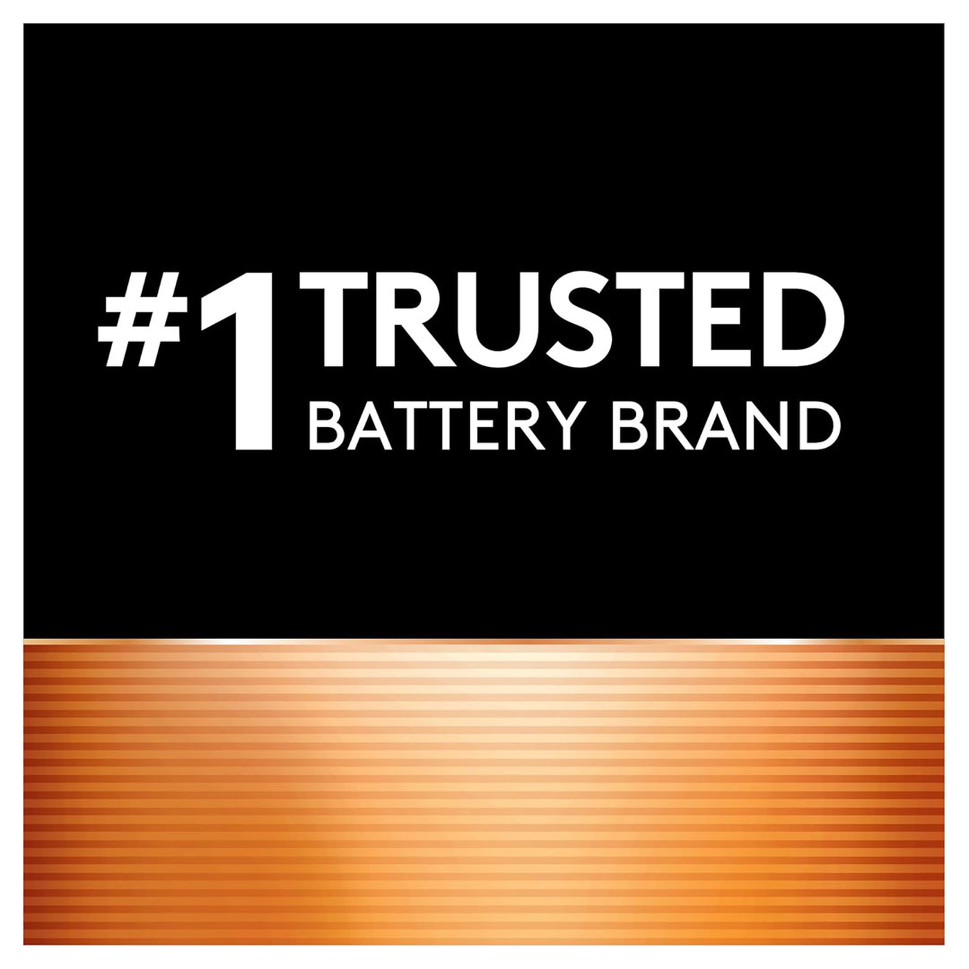 Duracell Ion Speed 1000 Charger Duracell Ion Speed 1000 Charger