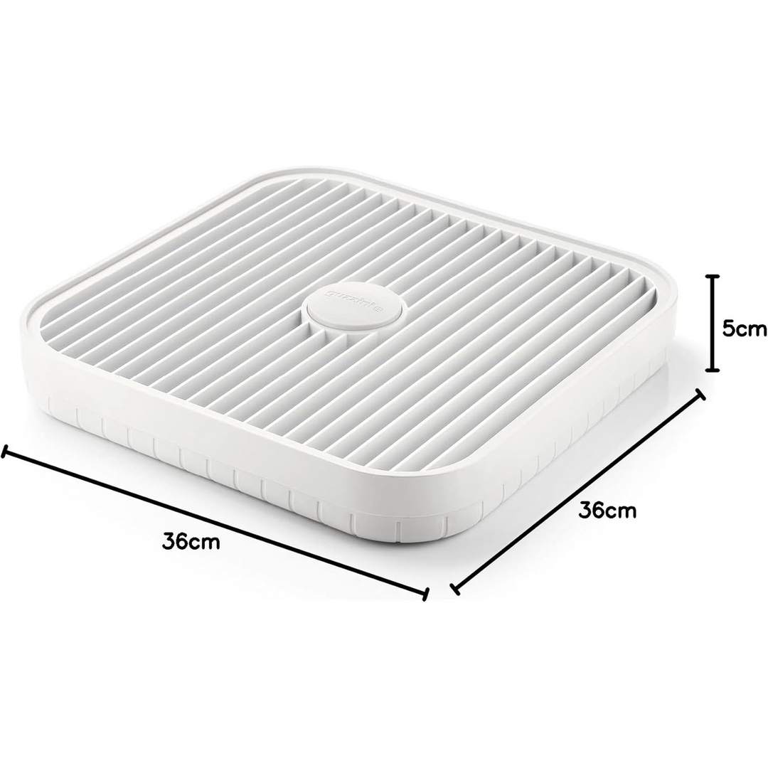 Guzzini My Kitchen Dish Drainer