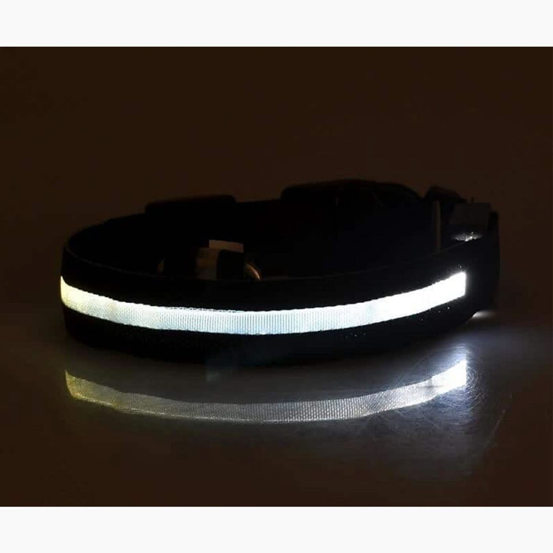 Pet Village Big Dog Collar