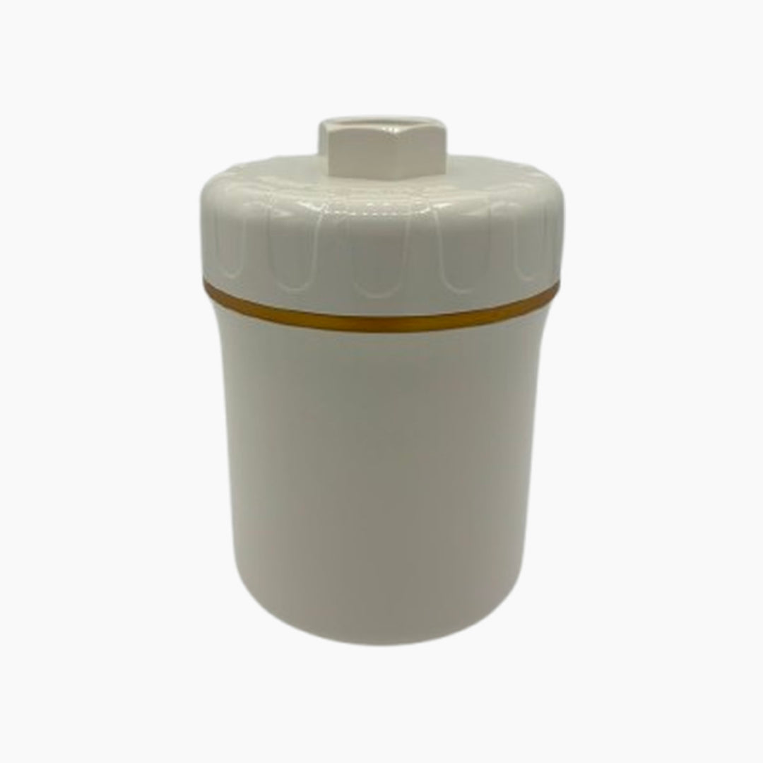 Shower Filter