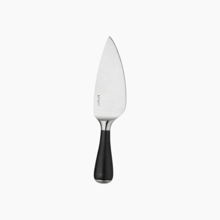Pintinox Parmesan Cheese Knife